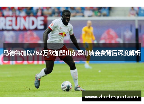 马德鲁加以762万欧加盟山东泰山转会费背后深度解析