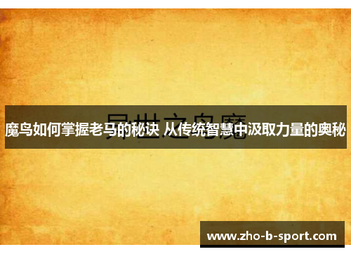 魔鸟如何掌握老马的秘诀 从传统智慧中汲取力量的奥秘